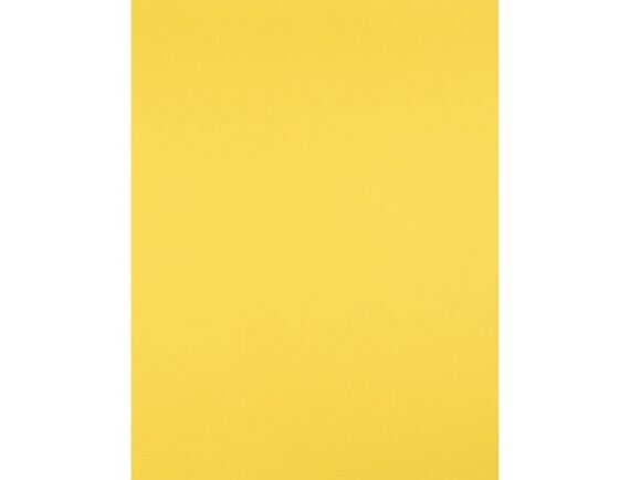 Cartolina 50x65 240gr amarelo limao