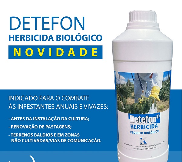 101241