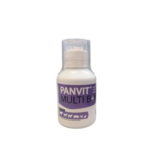 Panvit Multi B+K 100ml